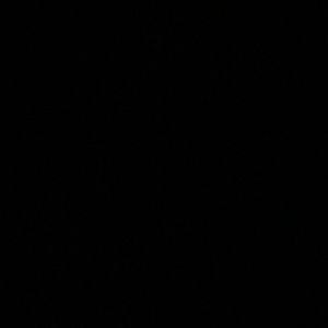 Meet your Posher, Jerry